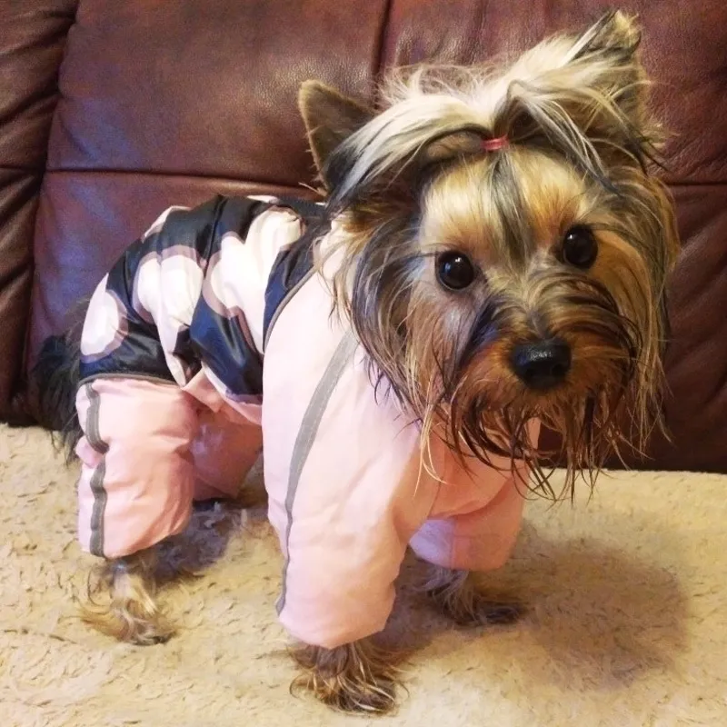 Ropa para perros Chaqueta de abrigo de invierno para mascotas para perros pequeños Reflectante Cálido Fleece Cachorro de perro Monos Chihuahua Yorkie Ropa Monos 201102