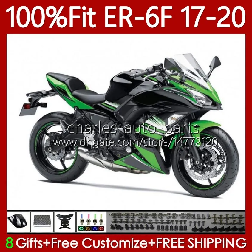 Corpi per stampi ad iniezione per KAWASAKI NINJA 650R ER6 F ER 6F 650 R 2017-2020 Carrozzeria 137No.16 ER-6F ER6F 17 18 19 20 ER6-F 650-R 2017 2018 2019 2020 Kit carenatura OEM Verde Nero