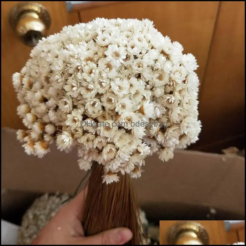 زهور الزهور الزهور أكاليل الحفلات الاحتفالية لوازم المنزل حديقة LL 30pcs Decoraitve مجفف زهرة Mini Daisy Star Bouquet Na Otn