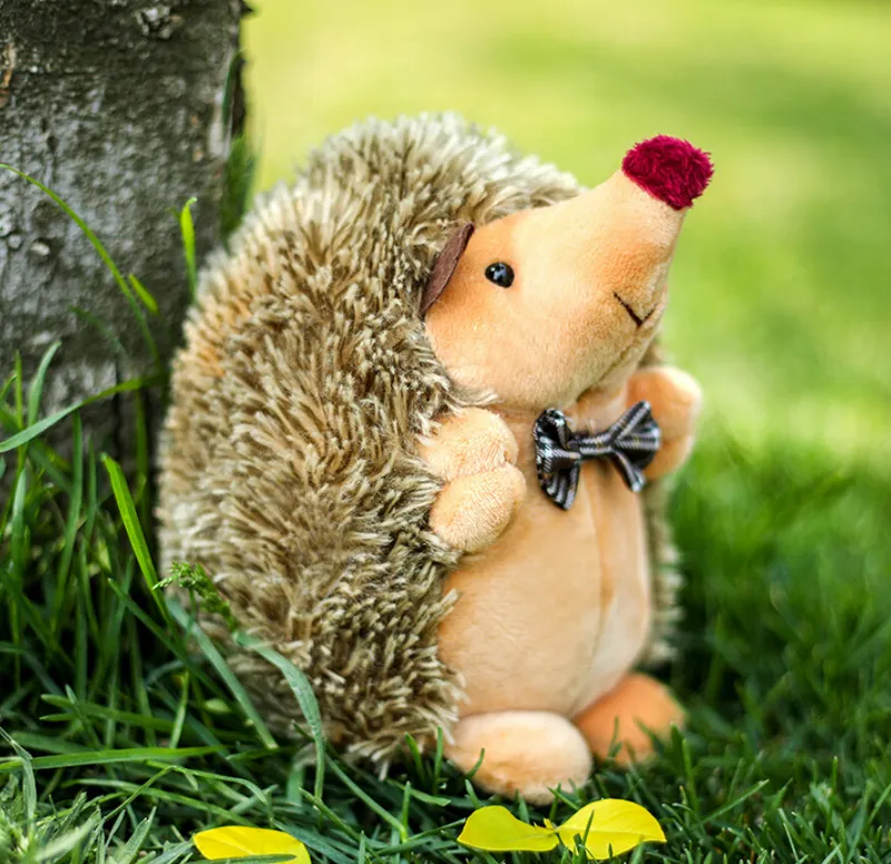 Coppia Gigante Del Riccio Di Peluche Bambole Regalo Di San Valentino Di Peluche 220425 Da 15 21 DHgate