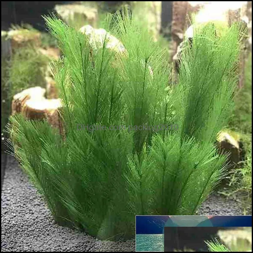 Aquarium Plant Feather Grass Provides A Beautiful Environment for Aquatic Animals, for Fish Tank, 3 Pieces Per Pack Factory price expert design Quality Latest