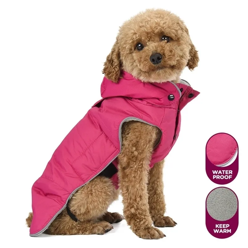 Big Dog Jacket Mabet Vêtements d'animaux chauds hiver