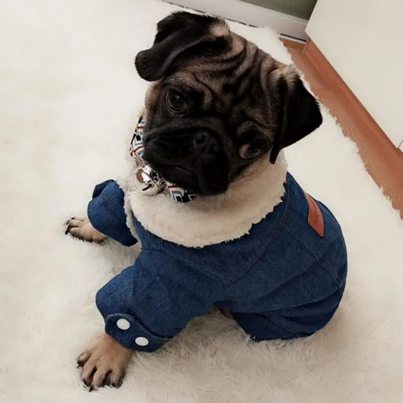 Dog Apparel Denim Puppy Jacket Winter Warm Pet Clothes For Small Dogs Yorkshire Pug Coats High Fur Collar Outfit Pets ClothingDog