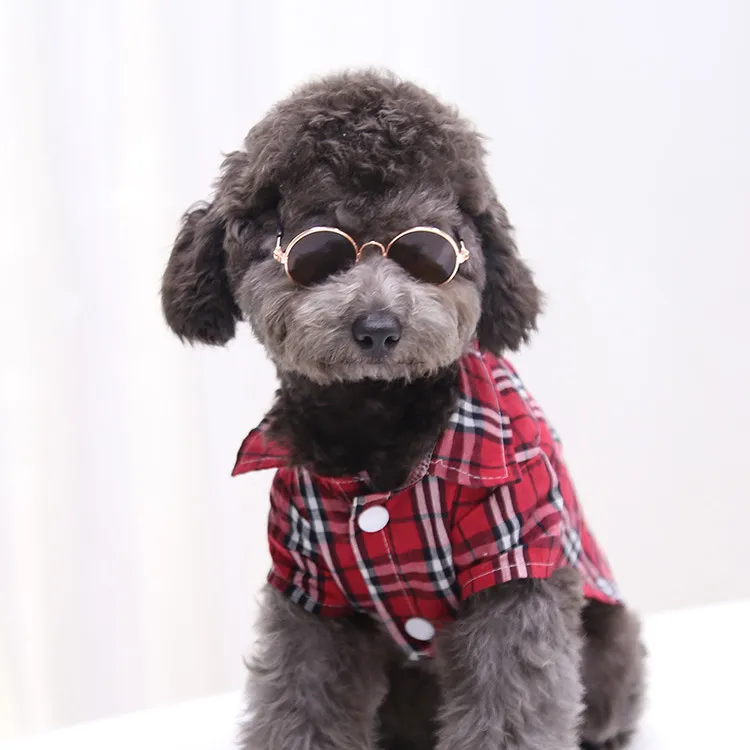 Dogs Sunglass Pets Eyeglasses Vibrant Life Dog Apparel Summer Lovely Vintage Round Reflection Eye Wear Glasses Chihuahua Teddy Perro Pet Ornaments Dog Sunglasses Small Breed From Sz chain 1.22 DHgate....