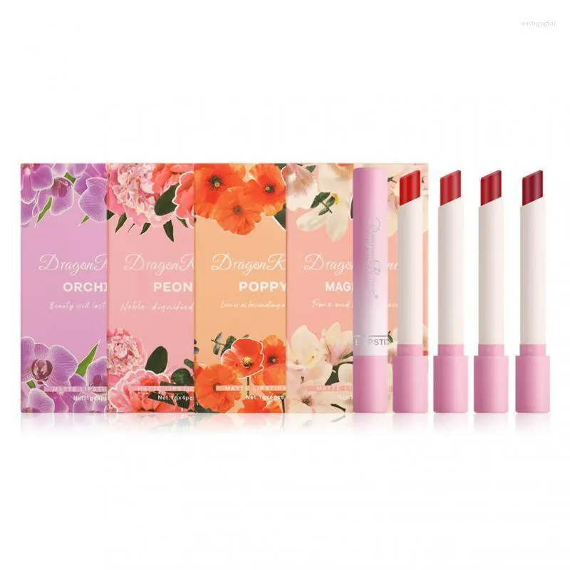 Brillant à lèvres Cigarette rouge à lèvres ensemble 4 pièces mat longue durée hydratant antiadhésif tasse coréen cosmétiques Maquillaje TSLM1Lip Wish22