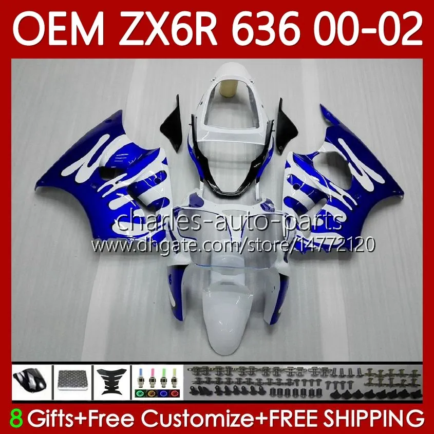 OEM Body for Kawasaki Ny Ninja ZX 636 600CC ZX-600 GRÖN FLAMES ZX-6R ZX636 ZX6R 00 01 02 37HC.89 ZX 600 CC 6 R ZX 6R ZX600 Cowling ZX-636 2000 2001 2002 Injektionsform