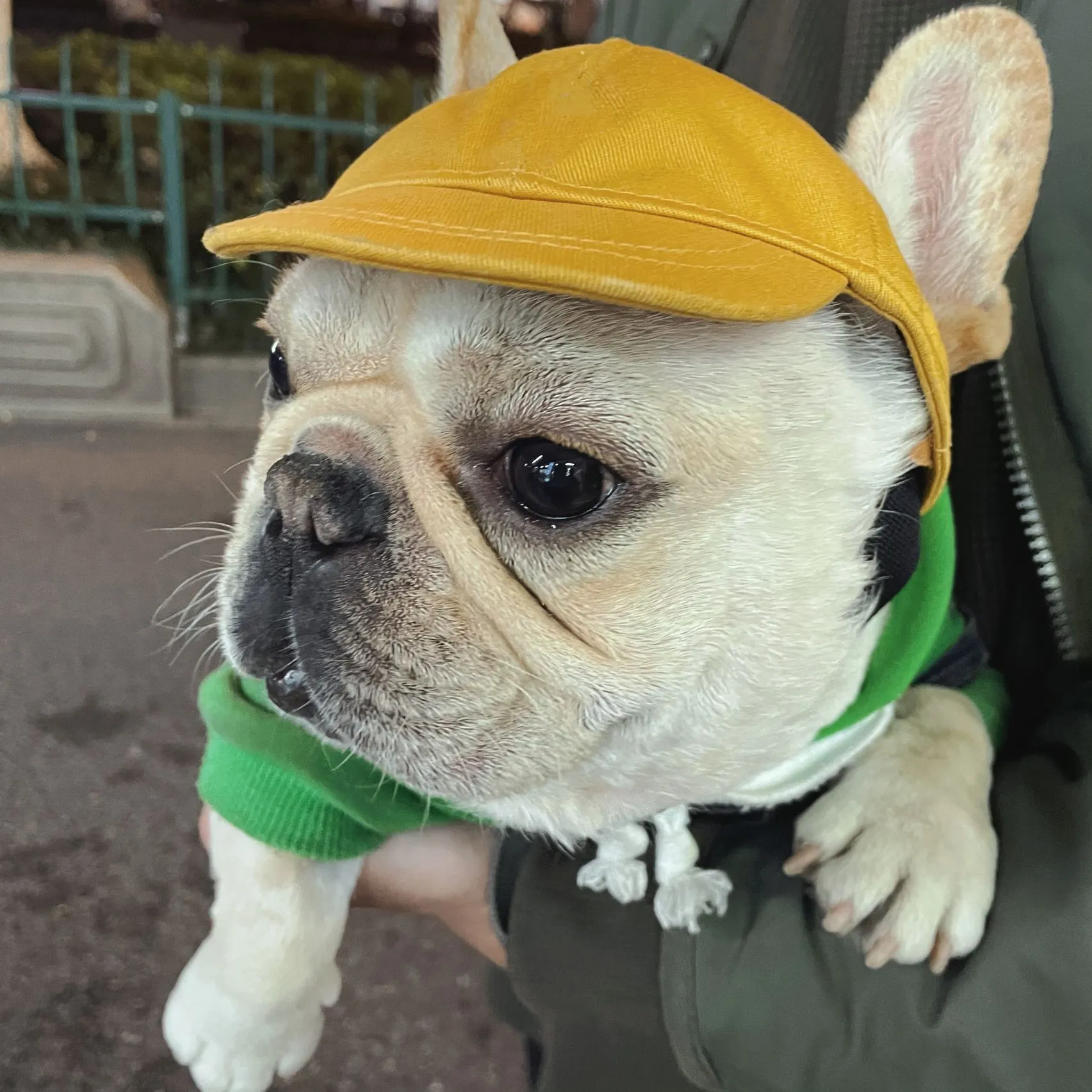 NiCola Dog Baseball Cap – Adjustable Sun Hat With Ear Holes For Small To Medium Dogs, Corduroy Material-420046