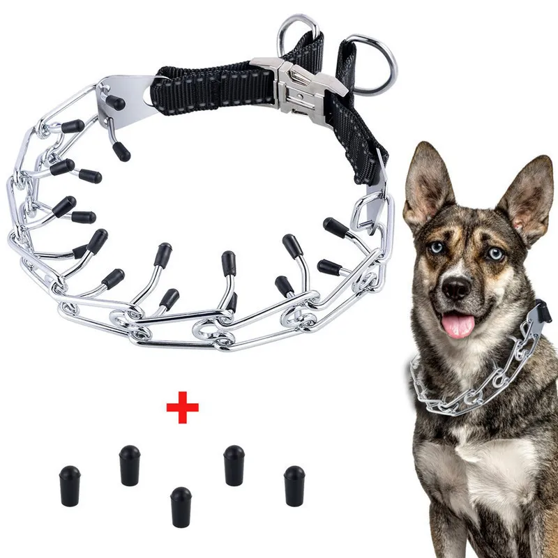 Treinamento de cão de cães de aço ajustável Treinamento de cocheiro do tiro de estrangulamento colarinho pitada 201101
