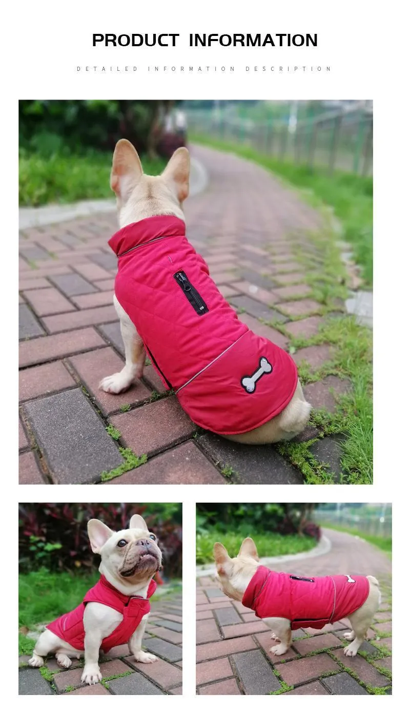 Clothing for Dogs (7C)