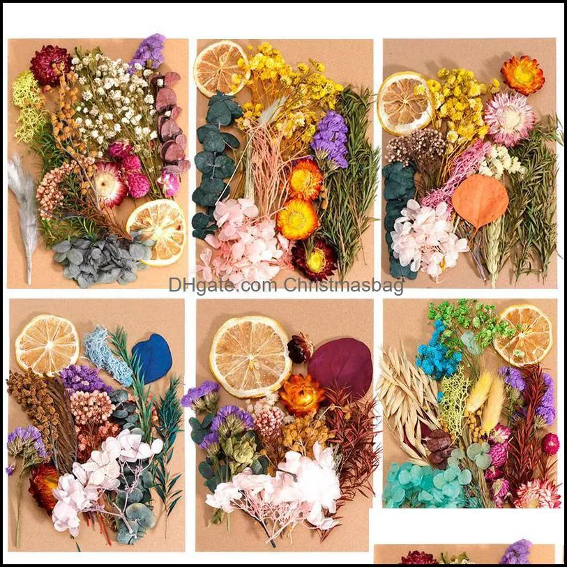 Real Dried Flower Dry Plants For Wedding Party Home Decorations Diy Craft Aromatherapy Candle Living Room Acc jllxIM