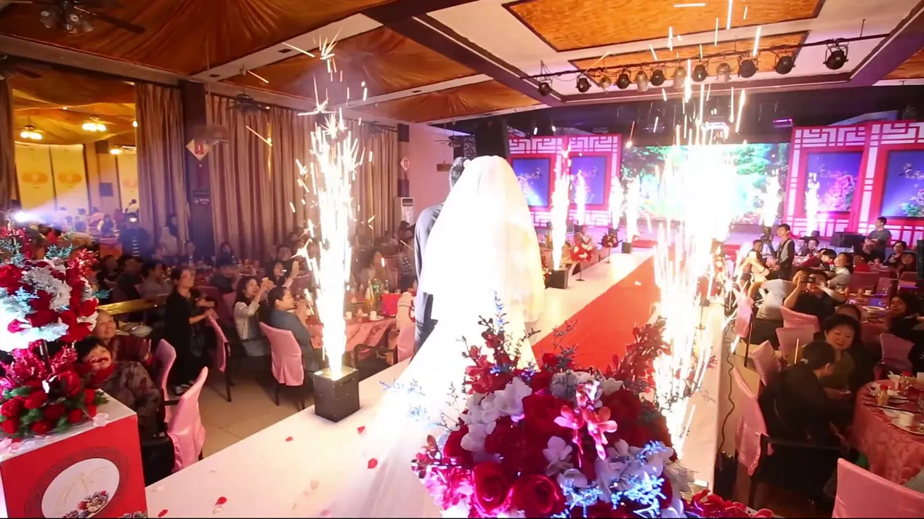 750W Fire Sparkler Machine Wedding Decoration Stage Lighting