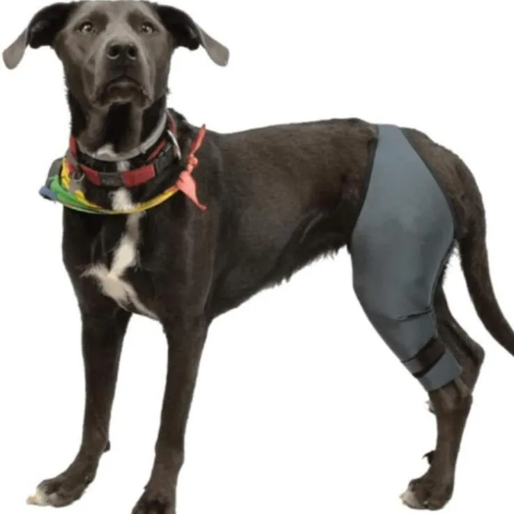 Dog Canine K9 Knee Stifle Brace Wrap Metal Splint Hinged Flexible Support Treat ACL CCL Luxating Patella Cruciate Ligament Sprain Strain Tear Injuries