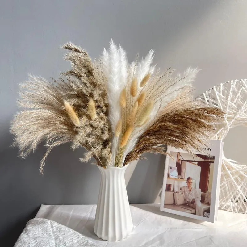 Decorative Flowers & Wreaths Natural Dried Pampas Grass Phragmites Tail Real Bouquet Plants Bunch Props Floral Boho Home Wedding DecorDecora