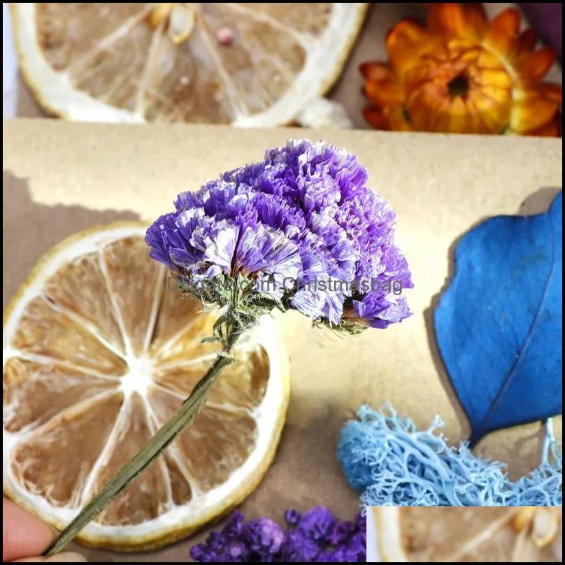 Real Dried Flower Dry Plants For Wedding Party Home Decorations Diy Craft Aromatherapy Candle Living Room Acc jllxIM
