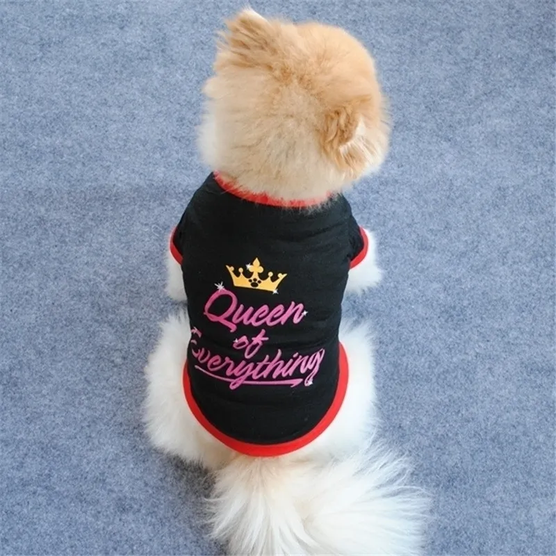 Rainha queen Crown Design Roupas de estimação para pugs camiseta cachorrinho de verão