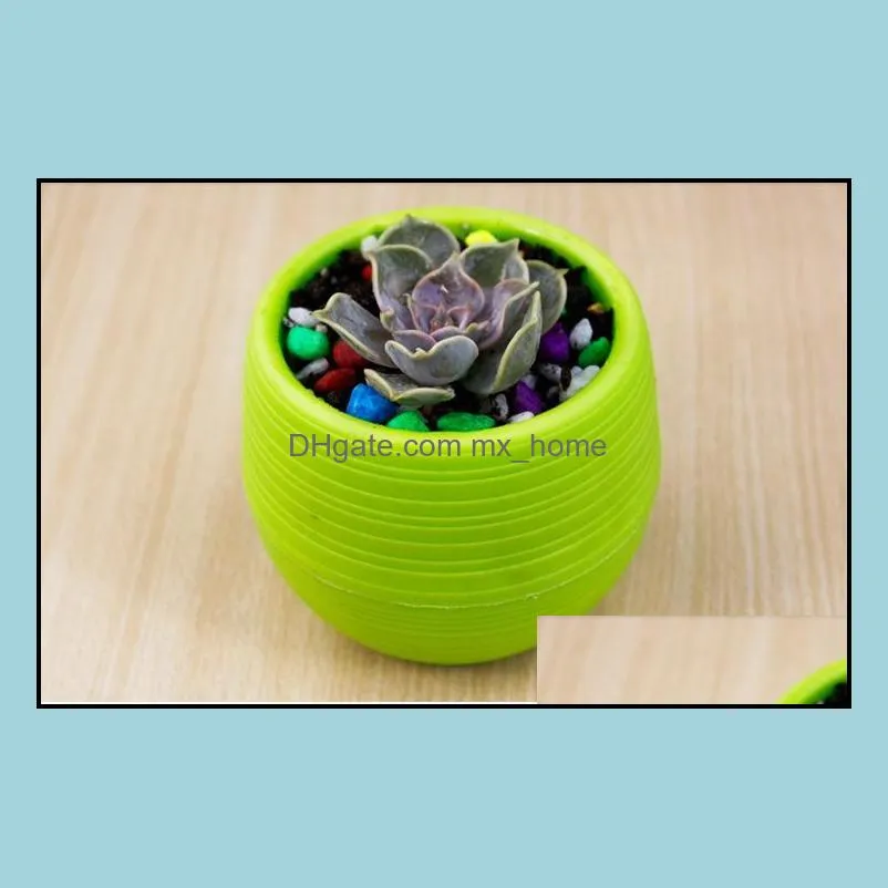 Mini Round Plastic Meat Plant Flower Pot Garden Home Office Decor Micro Landscape Planter High Quality c537