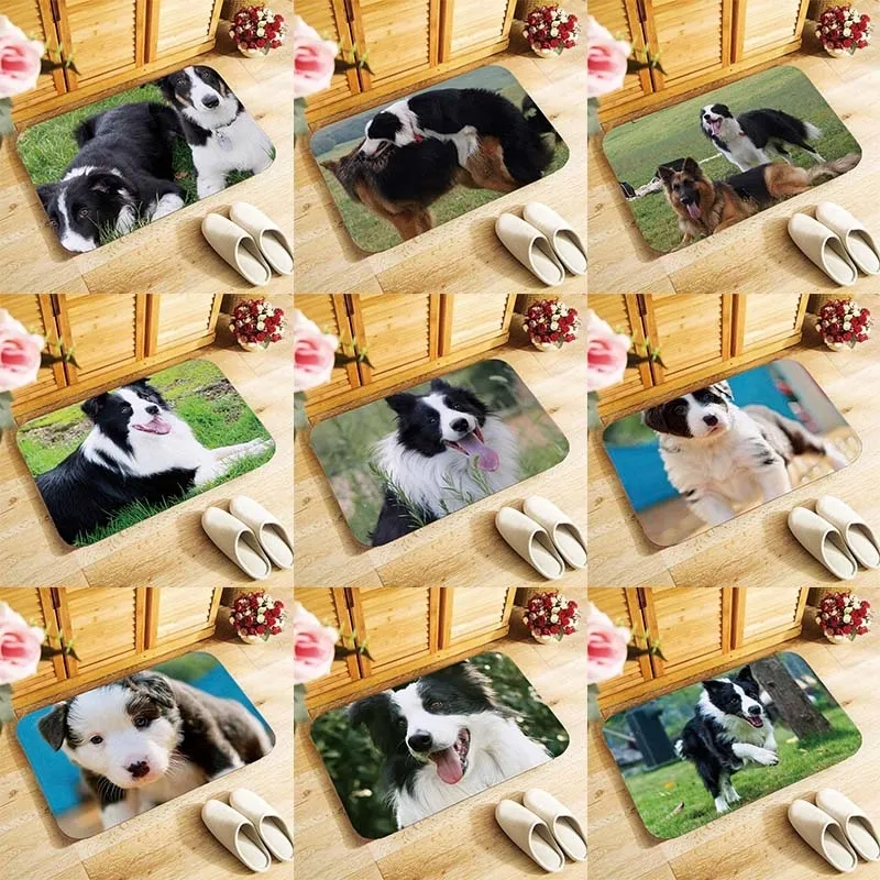 Mignon Border Collie Chien Paillasson Coir Paillasson Intérieur Extérieur Bienvenue Tapis De Sol matériau souple Style Moderne 40x60cm antidérapant 220613