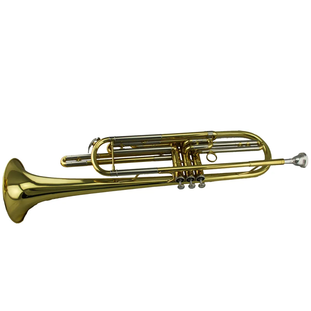 Instrument professionnel de trompette de basse de laque d'or de haute qualité