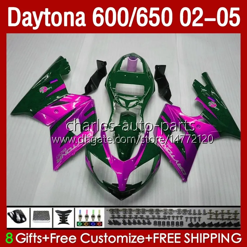 Bodywork Kit For Daytona 650 600 CC 2002 2003 2004 2005 Body 132No.87 Cowling Daytona650 02-05 Daytona600 Daytona 600 02 03 04 05 ABS Motorcycle Fairing Green rose