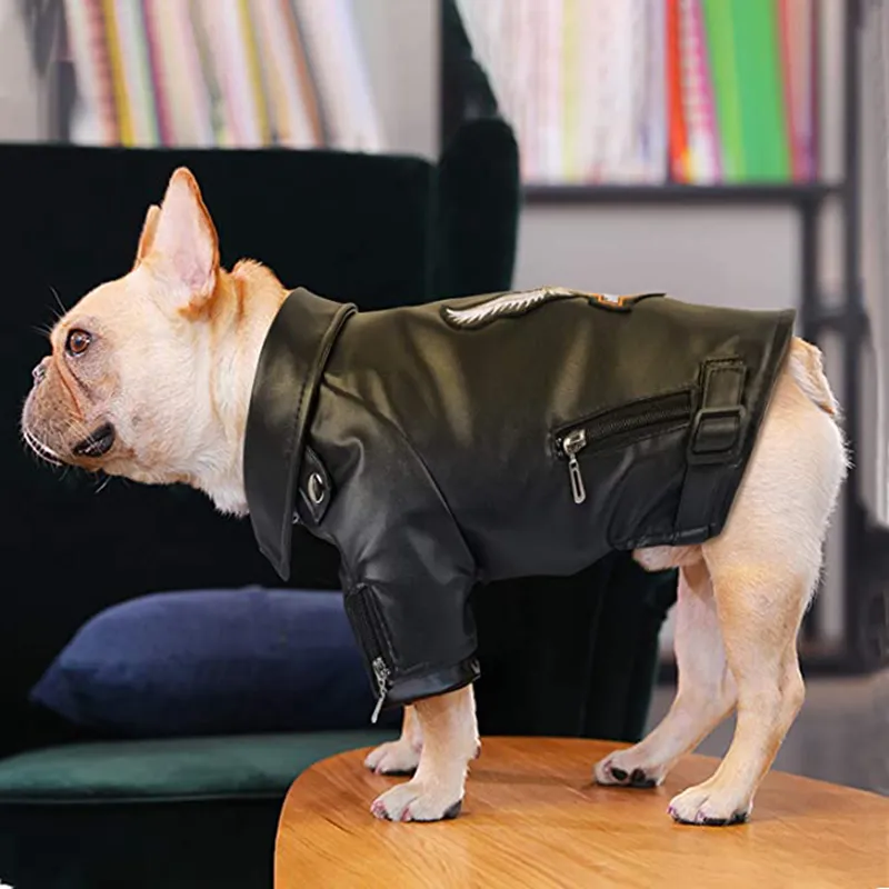 Motorcycle jacket hotsell for dogs