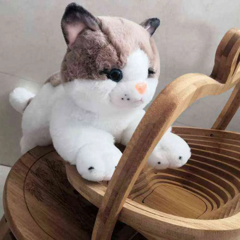 CM Life Life Plush Cat Toy Kawaii Decor Decor Soft Soft Doll Simulation Animal Hitten للأطفال هدية الأطفال J220704