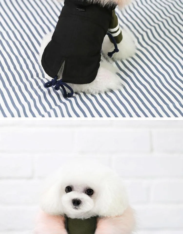 Luxury Dog Clothes (8)