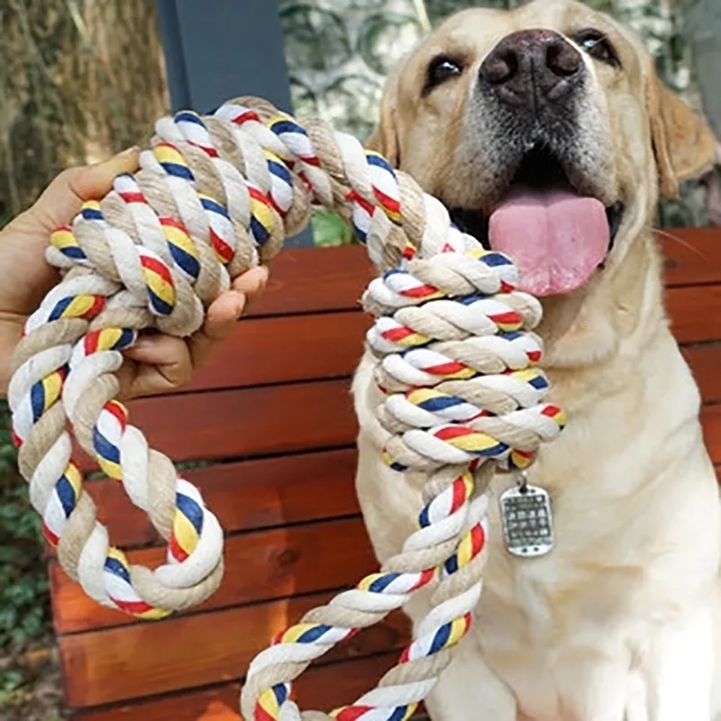 ペットのおもちゃを噛む結び目の相互アクション大きな犬の中の臼歯の良い小さい黄金の髪は歯Y200330