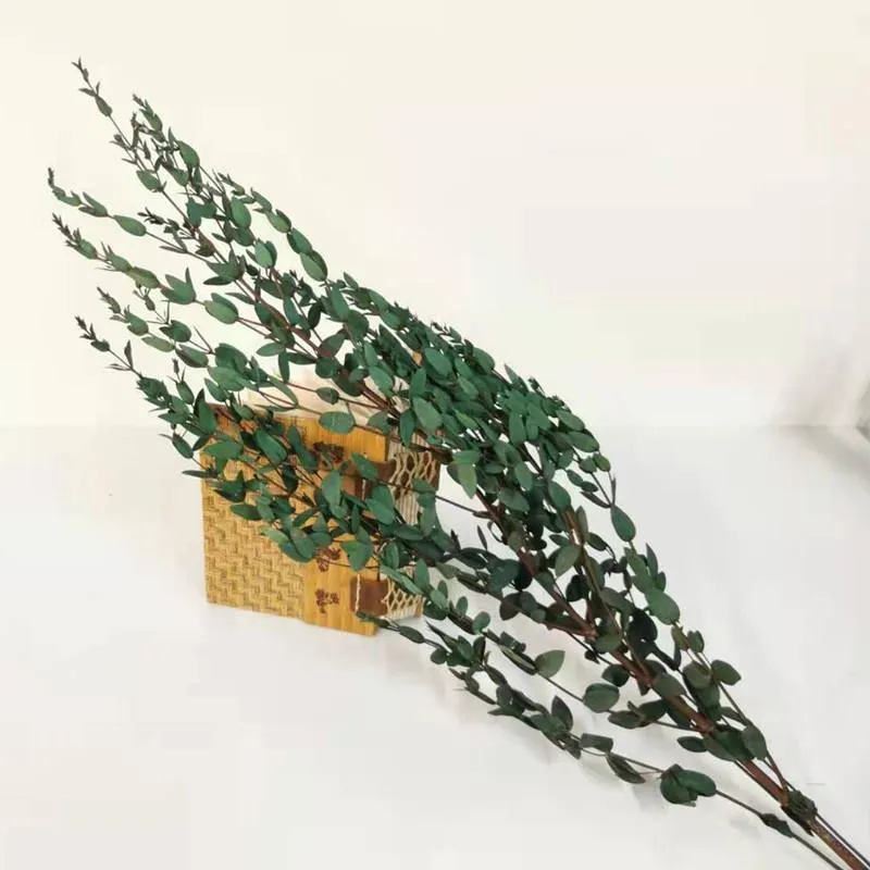 Fiori decorativi ghirlande 1 pcs foglie di eucalipto naturale fiore secco decorazione per casa vera pianta fai -da -te rami di decoreucalyptus steli decorativi