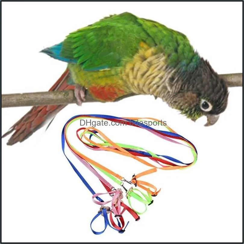 Pet Parrot Traction Strap Pet Anti-bite Training Rope Outdoor Rope Pet Leash Adjustable Bird Harness For Hamster Lizard