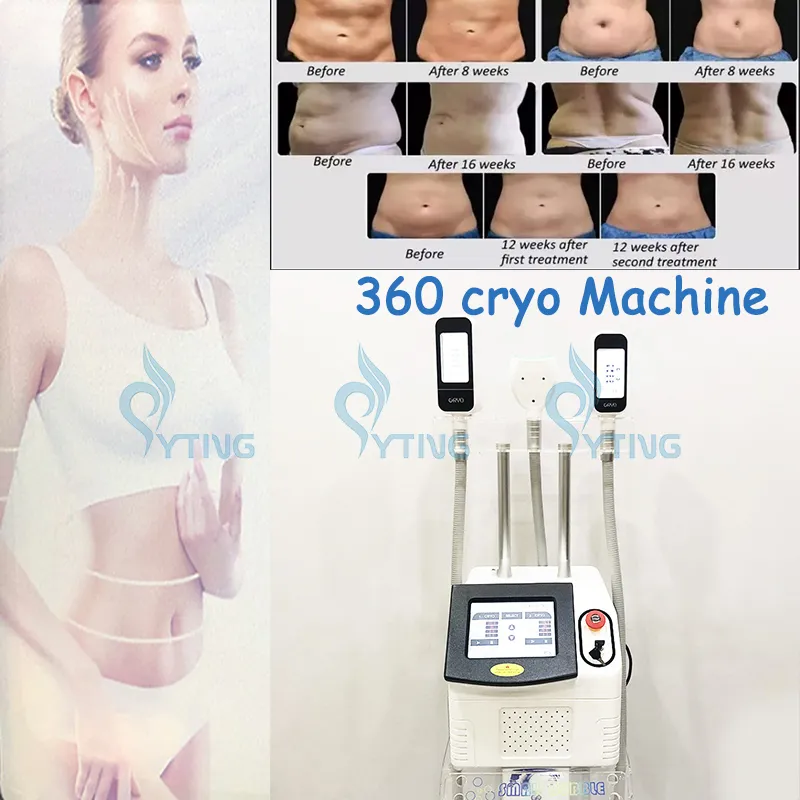 3 uchwyty 360 Criolipoliys Machine Maszyna Zamrożenie tłuszczu Kształtowanie ciała Rzeźbianie cellulitu Redukcja podwójna desceza podbródka