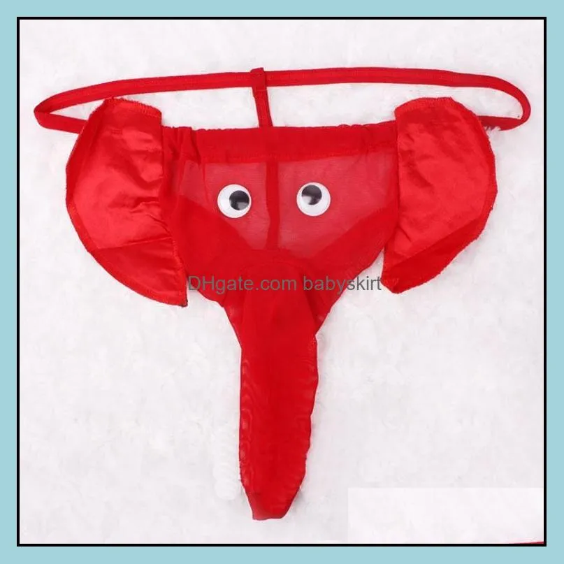 Sex Micro Thongs Mens Sexy Underwear Lingerie Gays Panties Briefs Lace Underwear Elephant Underwear for Male