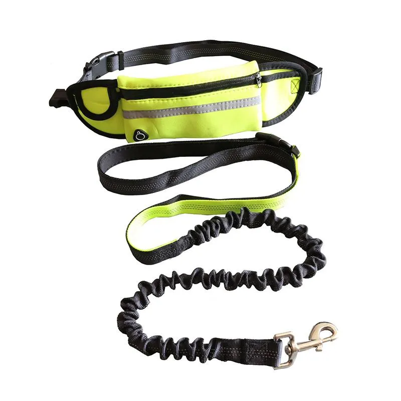 Colliers pour chiens Laisses Laisse de course Traction réfléchissante Corde en nylon Ceinture élastique Peut mettre votre téléphone et votre argent Accessoires pour chiens