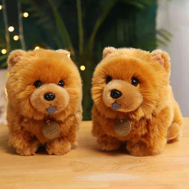 1 pc 25 cm gevulde simulatie chow pluche speelgoed kawaii honden pop mooie chowdren voor ldren girls verjaardag cadeau home decor j220729