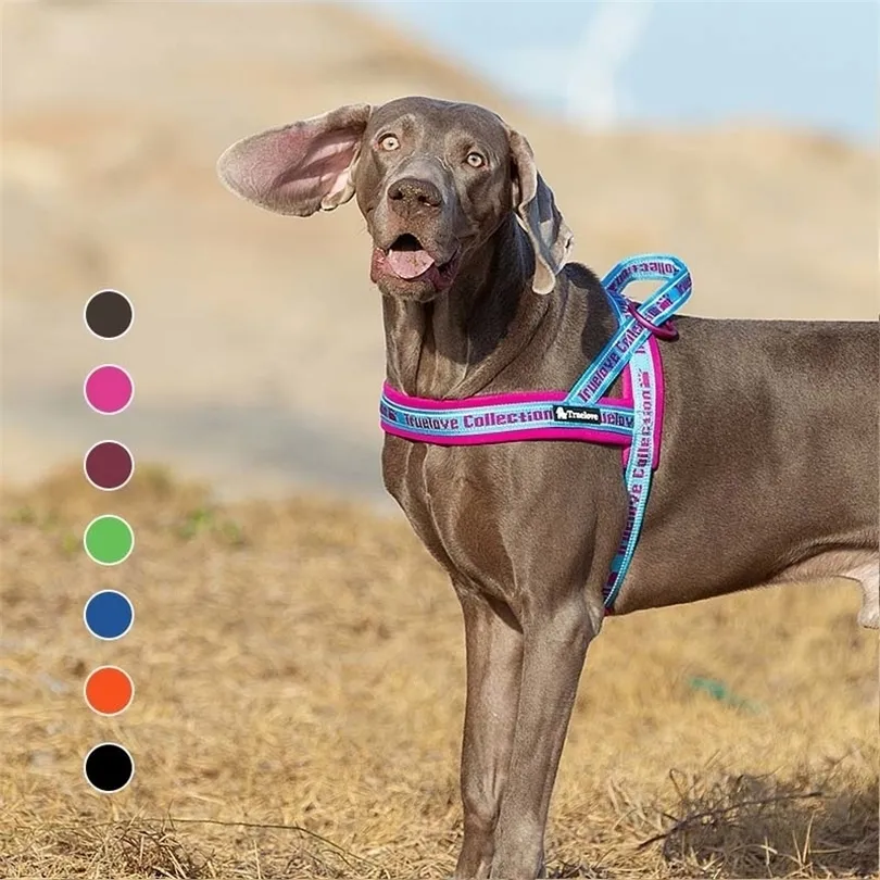 Truelove no pull dog harness hotsell