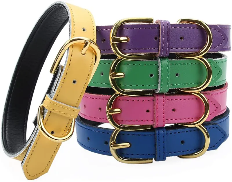 Gold Pin Buckle Dog Collars with Adjustable Buckles Fashion Leather Dogs Collars Neck Decoration Pet Supplies accessories