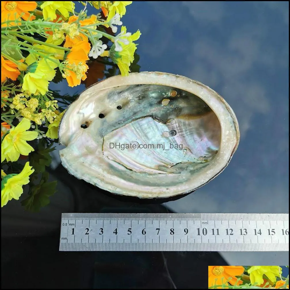 5 Sizes Abalone Shell Nautical Decor Seashell Beach Wedding Shells Ocean Decor Jewelry Diy Shell Soap Dish Aquarium Home Decor H