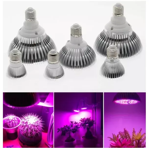 LED Phyto Lights Full Spectrum 30W 50W 80W E27 LED Grow Light Fitolampy Bulbs 5730 SMD 28 40 78 120LEDs Lamp For Plants Seeding