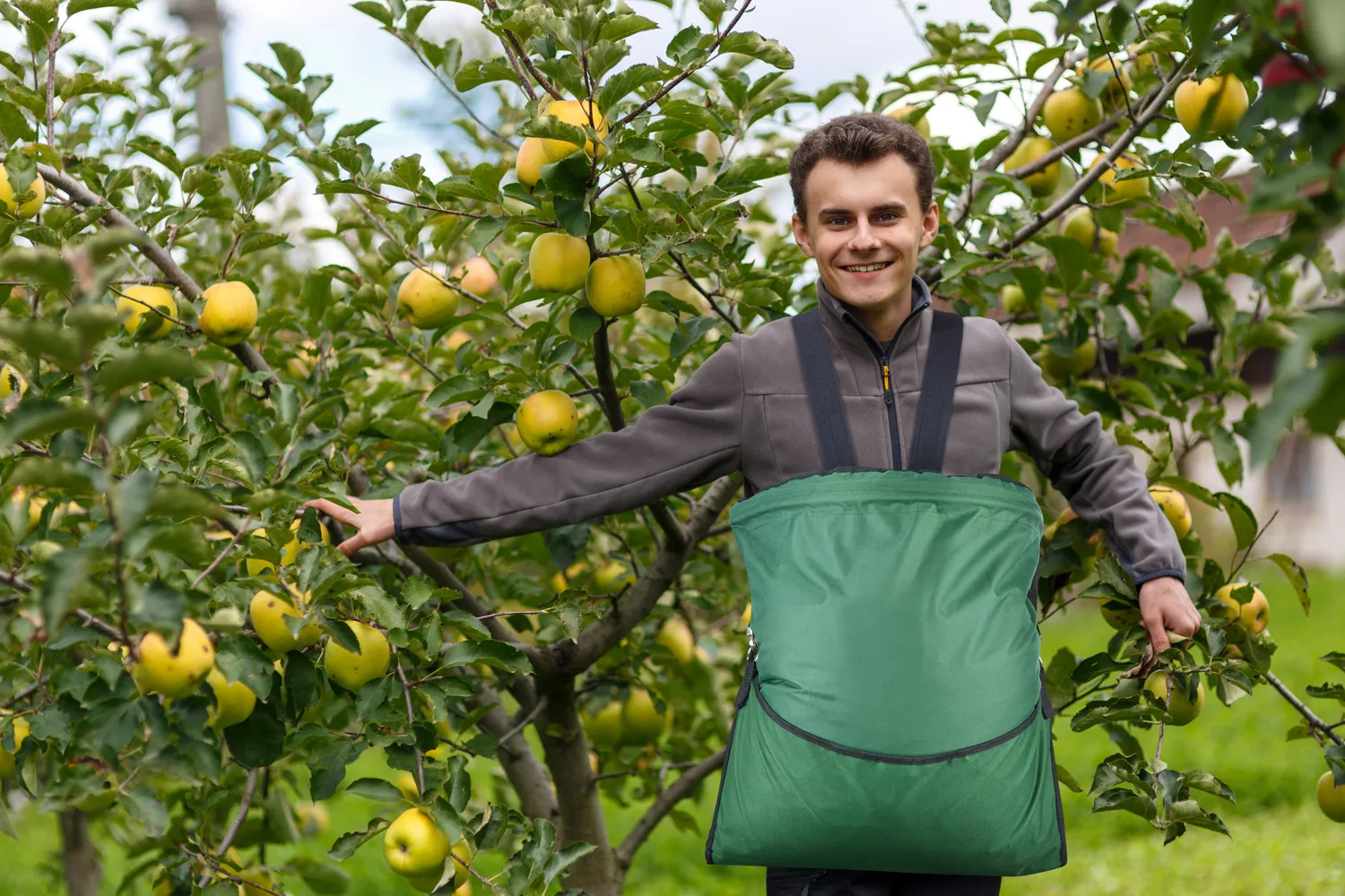 10pcs Fruit Picking Bag, Adjustable Harvest Garden Apron Storage Pouch for Harvesting Vegetables Big Fruits Apple Mango Pear Peach Mango Kiwi Lemon Cherry