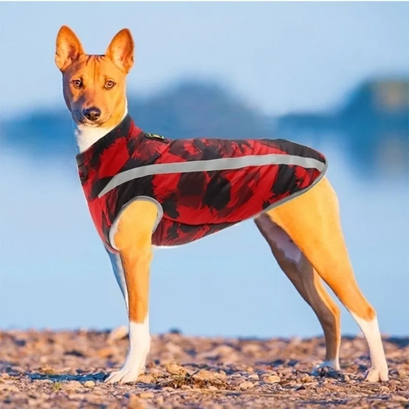 Vêtements d'hiver pour chiens Bouledogue français Pet Warm Jacket Coat Vêtements pour chiens imperméables Outfit Gilet pour petits chiens de taille moyenne 201102