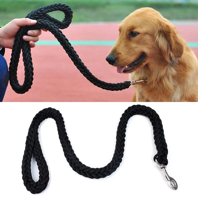 Dog Collars & Leashes Rope Pet Training Leash Nylon Harness Eight-strand Chain Durable Braided SafetyDog