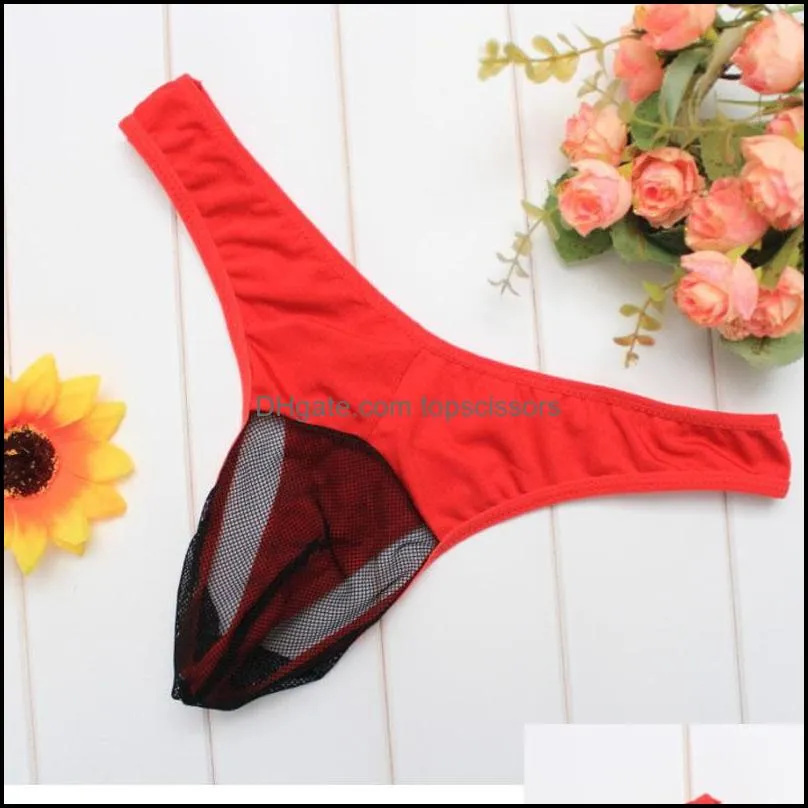 Men Thongs Sexy Briefs Lingerie See Through Mens Underwear Sheer Front Pouch Thong Men`s G-String Underwears