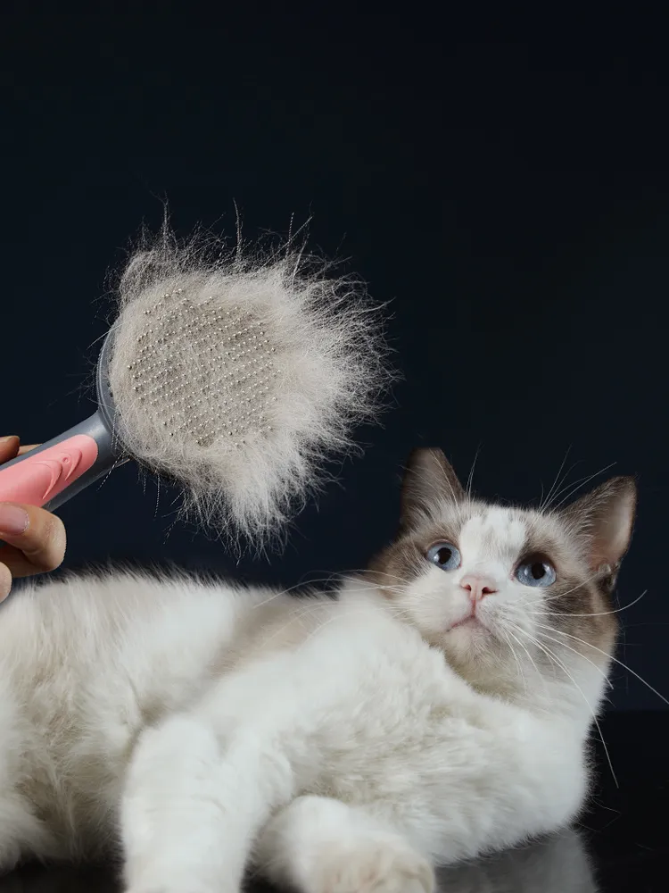 Katzenhaarkamm Haustierhundhaare Sondernadel Katzen Haarreiniger Reinigung und Schönheitsprodukte