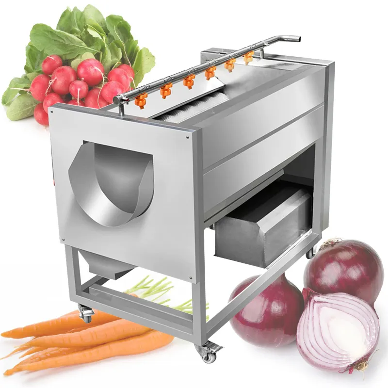 220V Fruit and vegetable peeling washing machine commercial brush potato sweet radish ginger lotus root peeling machine for sale