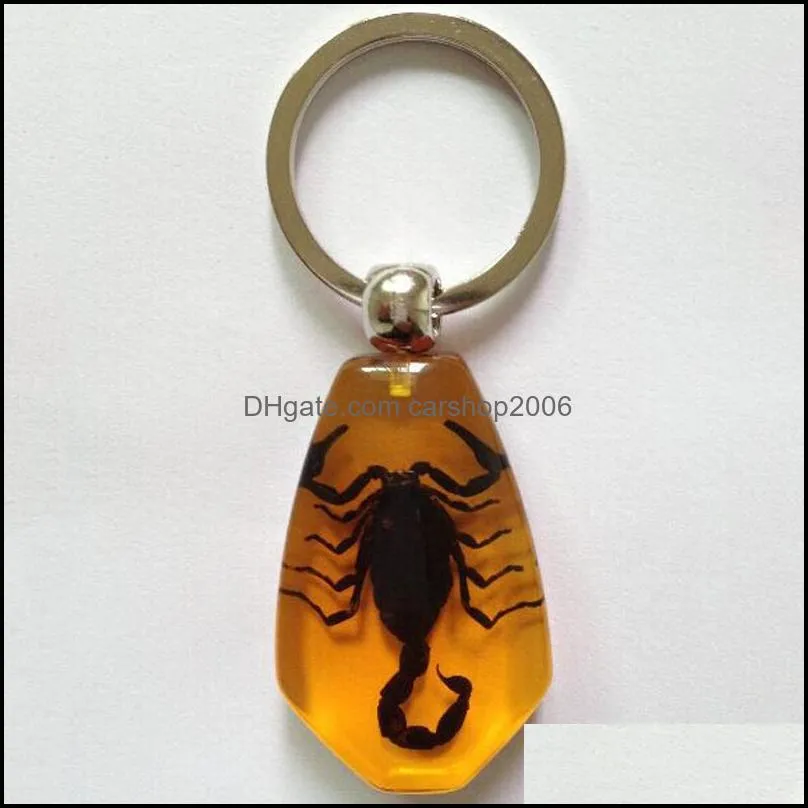 Other Arts And Crafts Creative Insect Amber Keychain Car Crystal Keyring Dhzew