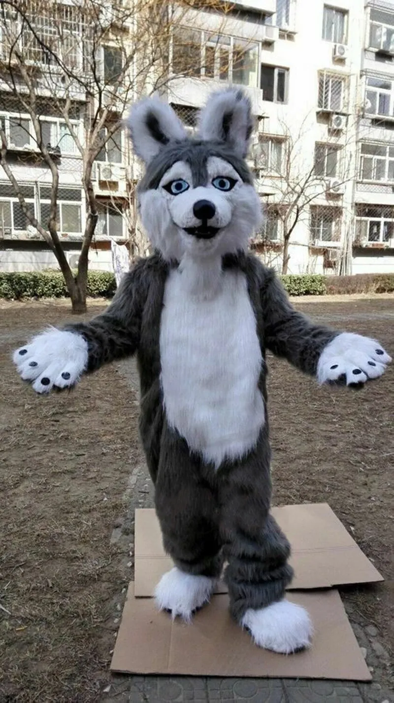Costume della mascotte del cane Husky di pelliccia lunga grigia di Halloween Costume da pupazzo di lupo peloso Copricapo Volpe pelosa Abiti operati da sfilata di anime Set208H