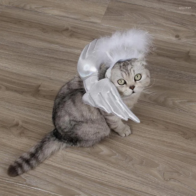 Set Sweet White Angel Cat Dog Costume Cosplay Cap Pet Halloween Birthday Wedding Party Gift Decor Supplies Costumes