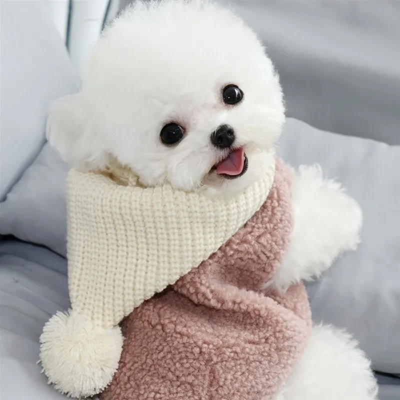 Зимняя теплая собачья одежда для маленьких собак Осень сгущание капюшона щенка Chehuahua милая домашняя одежда аксессуары для одежды 201102