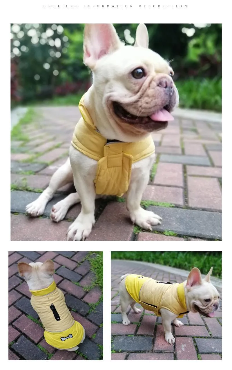 Clothing for Dogs (7G)