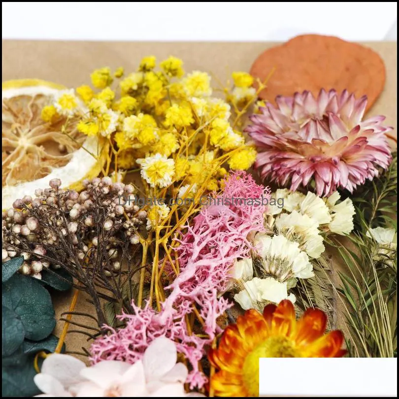 Real Dried Flower Dry Plants For Wedding Party Home Decorations Diy Craft Aromatherapy Candle Living Room Acc jllxIM