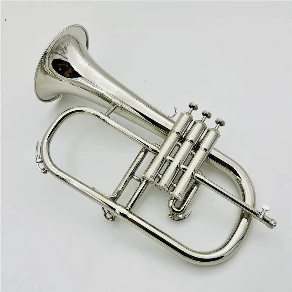 Novo BB Flugelhorn Silver Plated Instruments Professional com bocal de casos